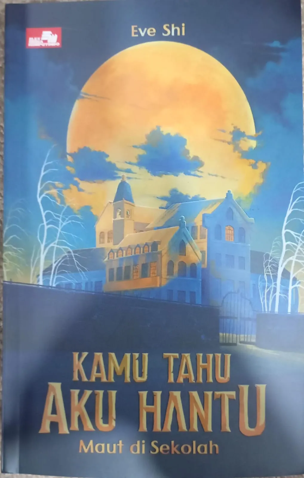 Cover KAMU TAHU AKU HANTU