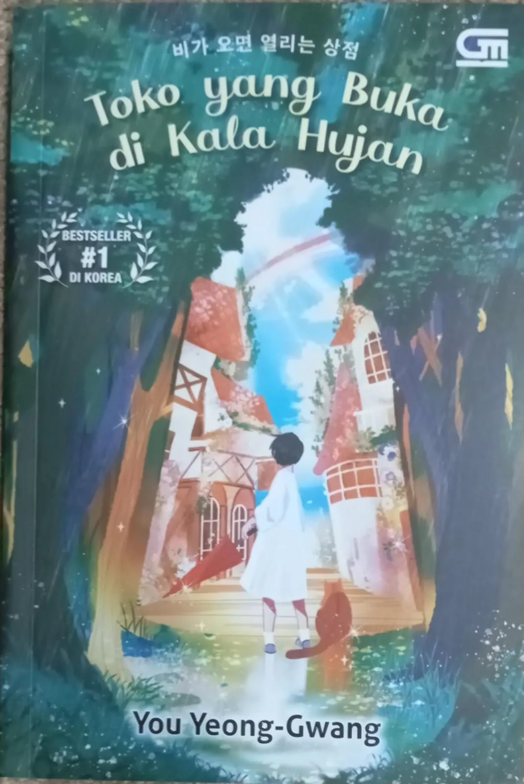 Cover TOKO YANG BUKA DI KALA HUJAN